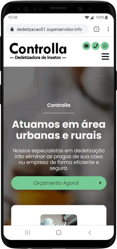 Modelo de site para dedetizadora e empresas de dedetização